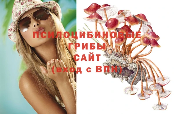 гашик Богородицк