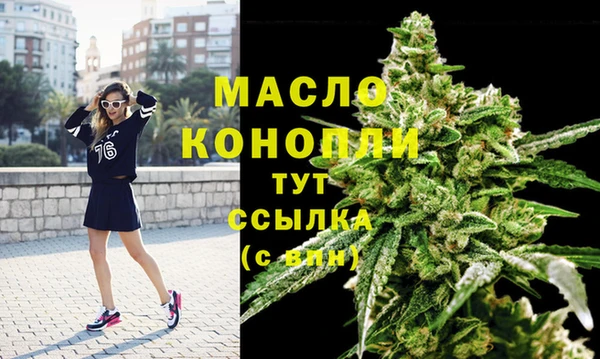 амф Гусь-Хрустальный