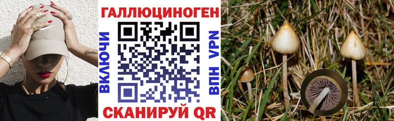 Галлюциногенные грибы прущие грибы  что такое   Реутов 
