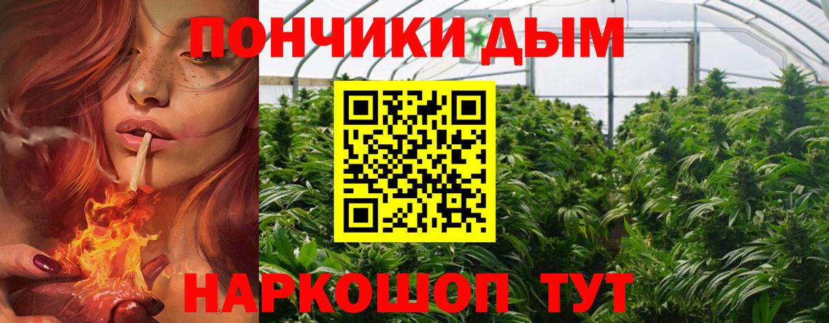 Канабис семена Реутов